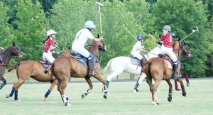 Polo with Shannon Elaine Casey and friends