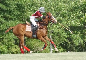 Polo with Shannon Elaine Casey and friends