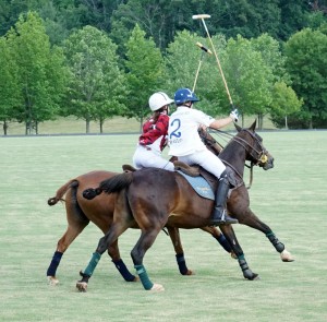 Polo with Shannon Elaine Casey and friends