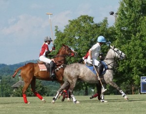 Polo with Shannon Elaine Casey and friends