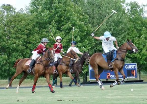 Polo with Shannon Elaine Casey and friends