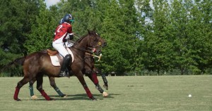 Polo with Shannon Elaine Casey and friends