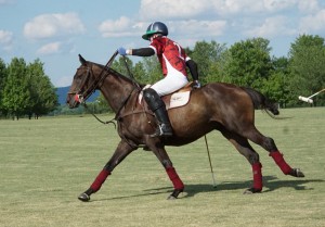 Polo with Shannon Elaine Casey and friends