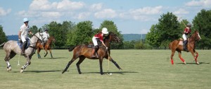 Polo with Shannon Elaine Casey and friends