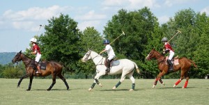 Polo with Shannon Elaine Casey and friends