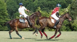 Polo with Shannon Elaine Casey and friends