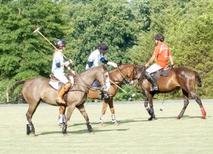 Polo with Shannon Elaine Casey and friends