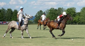 Polo with Shannon Elaine Casey and friends