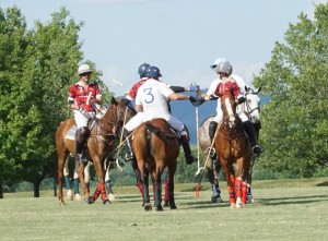 Polo with Shannon Elaine Casey and friends