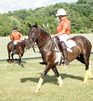 Polo with Shannon Elaine Casey and friends