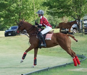 Polo with Shannon Elaine Casey and friends