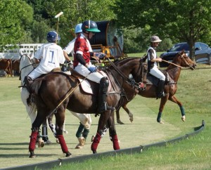 Polo with Shannon Elaine Casey and friends