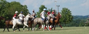 Polo with Shannon Elaine Casey and friends