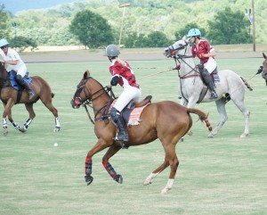 Polo with Shannon Elaine Casey and friends