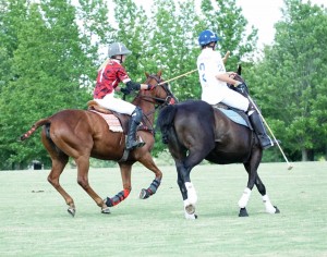 Polo with Shannon Elaine Casey and friends