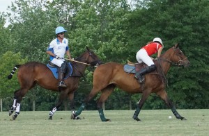 Polo with Shannon Elaine Casey and friends