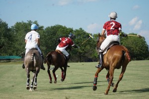 Polo with Shannon Elaine Casey and friends