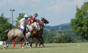 Polo with Shannon Elaine Casey and friends