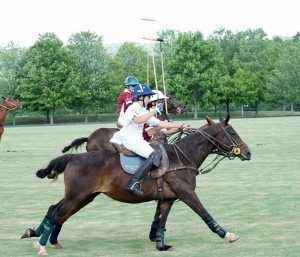 Polo with Shannon Elaine Casey and friends