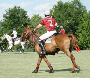 Polo with Shannon Elaine Casey and friends