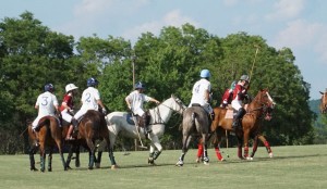 Polo with Shannon Elaine Casey and friends