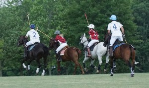 Polo with Shannon Elaine Casey and friends