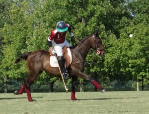 Polo with Shannon Elaine Casey and friends