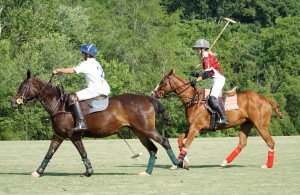 Polo with Shannon Elaine Casey and friends