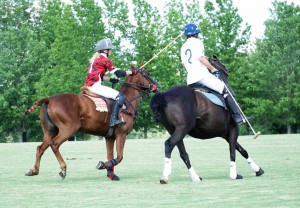 Polo with Shannon Elaine Casey and friends