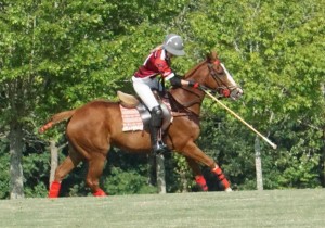 Polo with Shannon Elaine Casey and friends