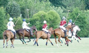 Polo with Shannon Elaine Casey and friends