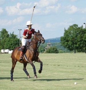 Polo with Shannon Elaine Casey and friends