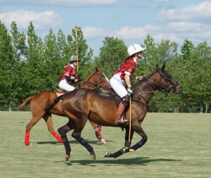 Polo with Shannon Elaine Casey and friends