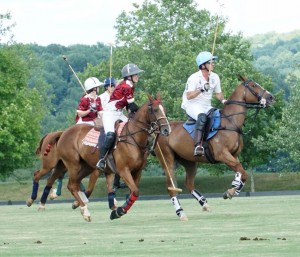 Polo with Shannon Elaine Casey and friends