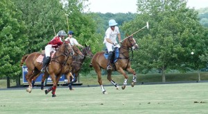 Polo with Shannon Elaine Casey and friends