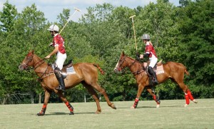 Polo with Shannon Elaine Casey and friends