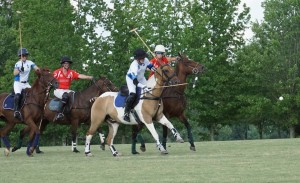 Polo with Shannon Elaine Casey and friends