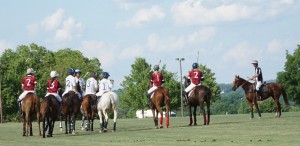 Polo with Shannon Elaine Casey and friends