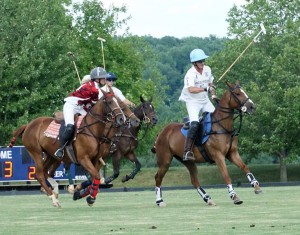 Polo with Shannon Elaine Casey and friends