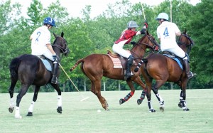 Polo with Shannon Elaine Casey and friends