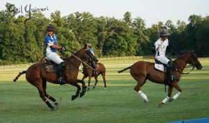 Presidents Cup Polo 2024