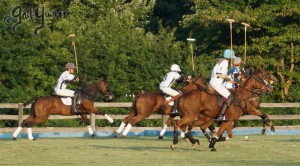 Presidents Cup Polo 2024