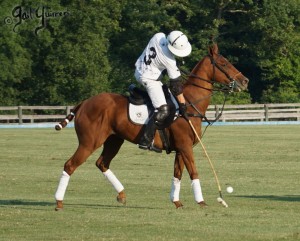 Presidents Cup Polo 2024