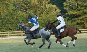 Presidents Cup Polo 2024