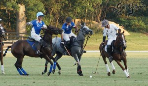 Presidents Cup Polo 2024