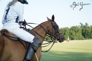 Presidents Cup Polo 2024