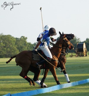 Presidents Cup Polo 2024