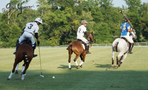 Presidents Cup Polo 2024