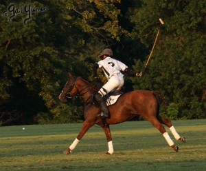 Presidents Cup Polo 2024