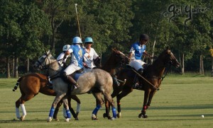 Presidents Cup Polo 2024